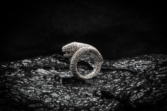 Snake Ming Ring