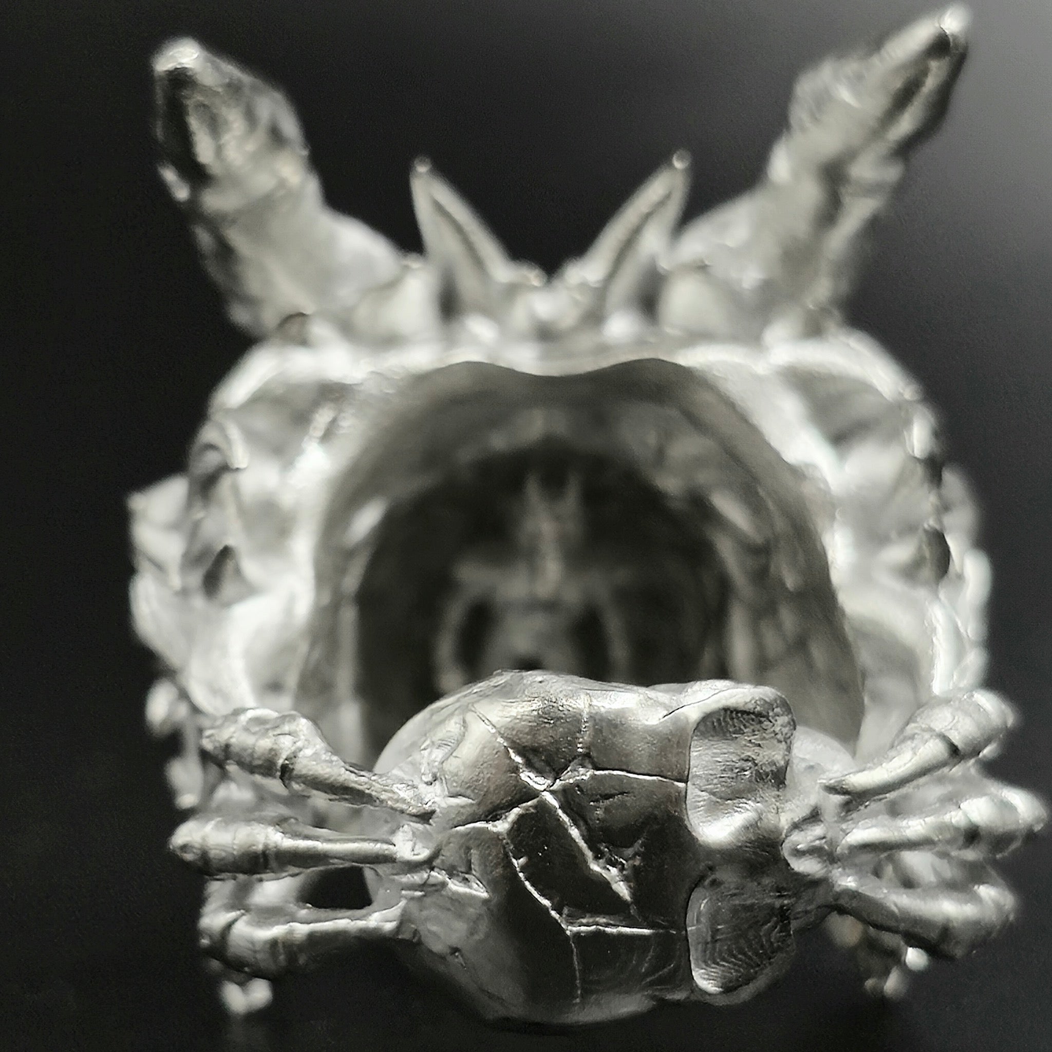 The Roc Demon King's Ring